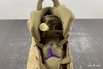 FD1643-300 6 Breathable Gore-Tex Kelp Brown 602  (Women's) Retro Jordan 0620